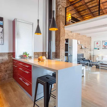 Penthouse Historical Center Daire